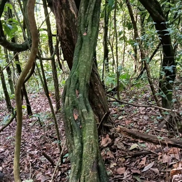 干货湿货都有，需要联系