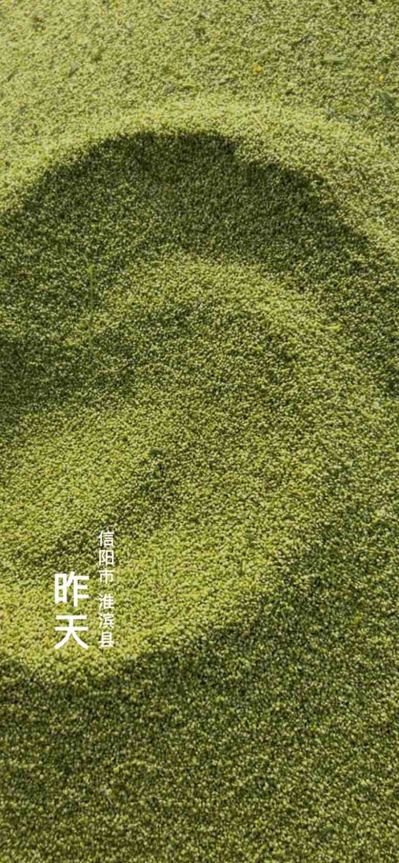 猫爪。猫爪草种子