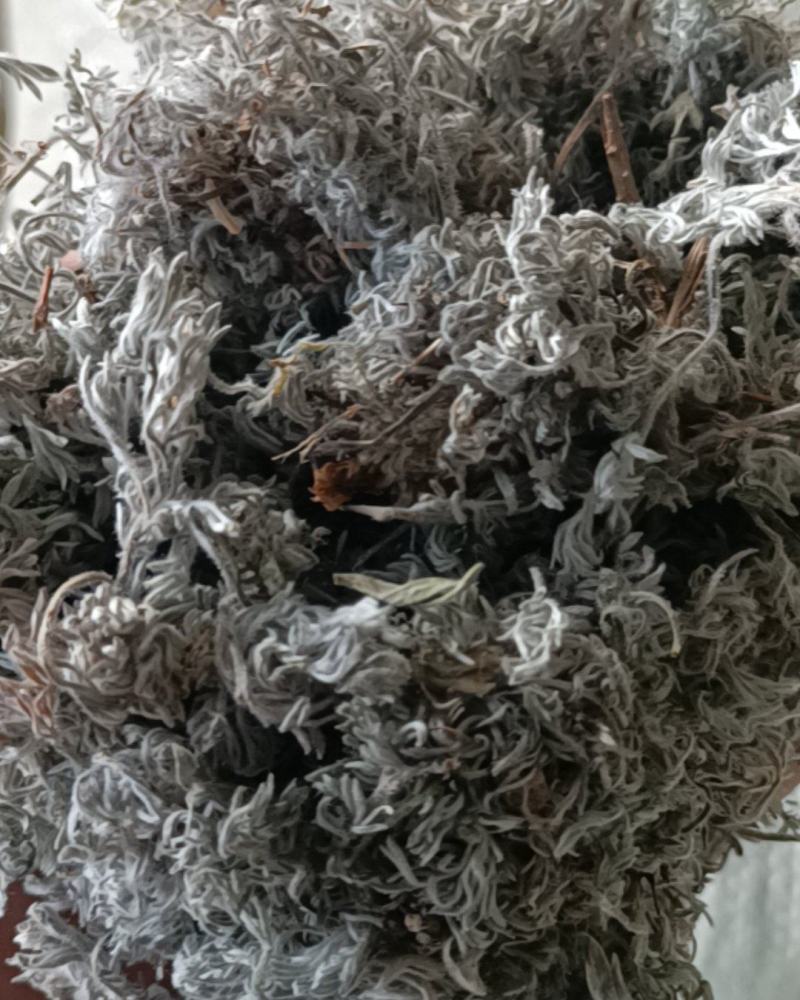 山东滨州茵陈两吨