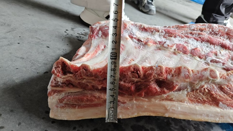 母猪带皮带肋中方现货