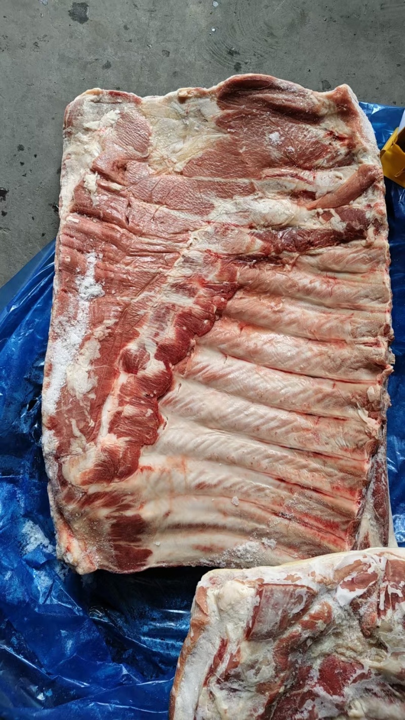 母猪带皮带肋中方现货