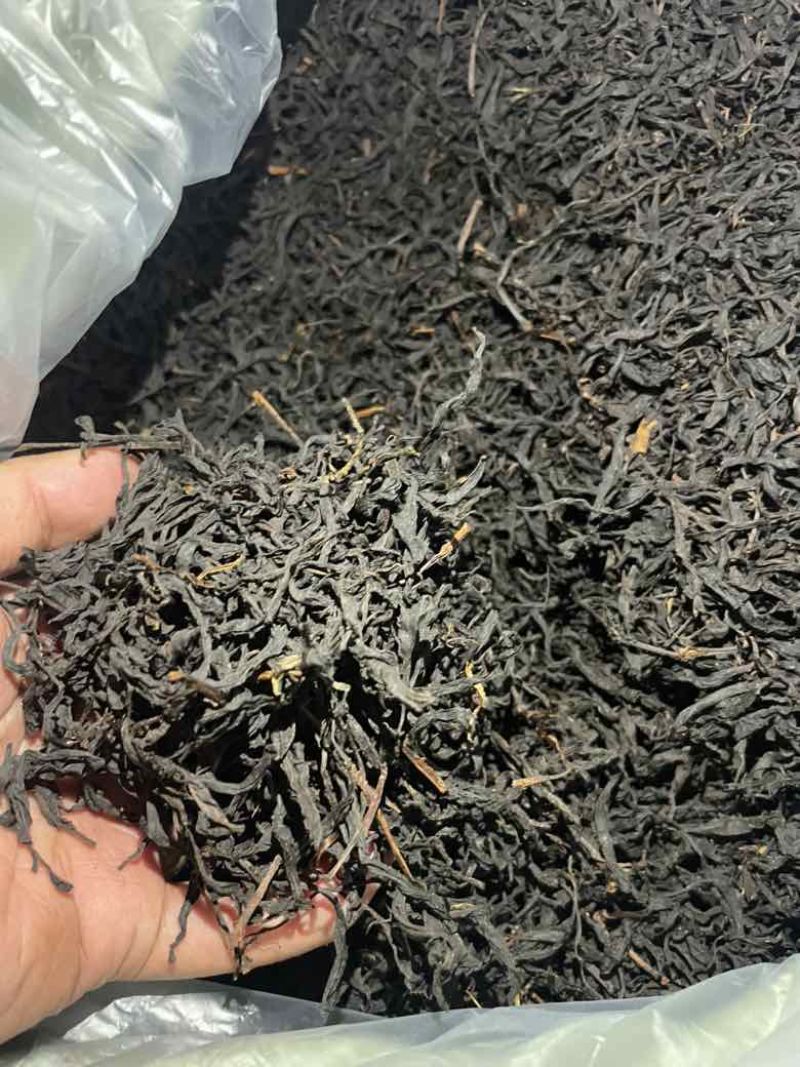 古树茶