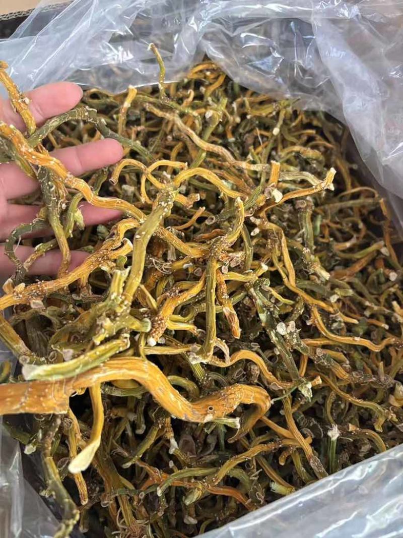 玉竹三蒸三晒玉竹无硫熏新货批发零售均可
