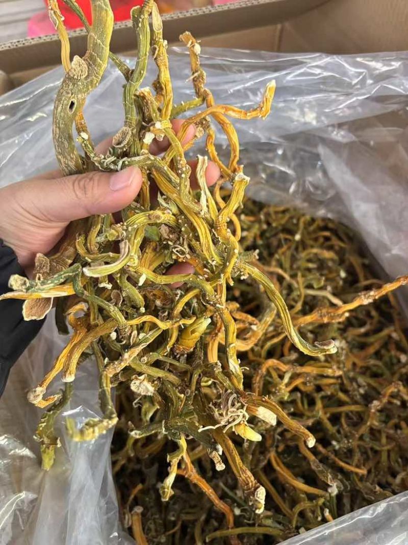 玉竹三蒸三晒玉竹无硫熏新货批发零售均可