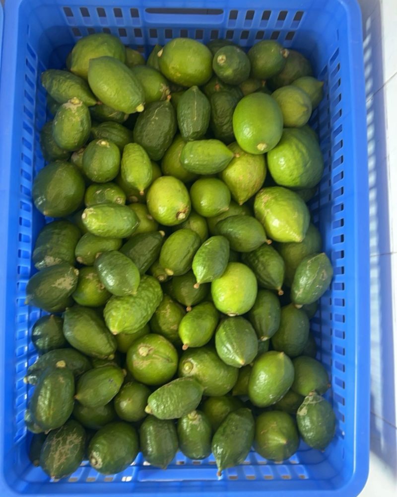 香水柠檬