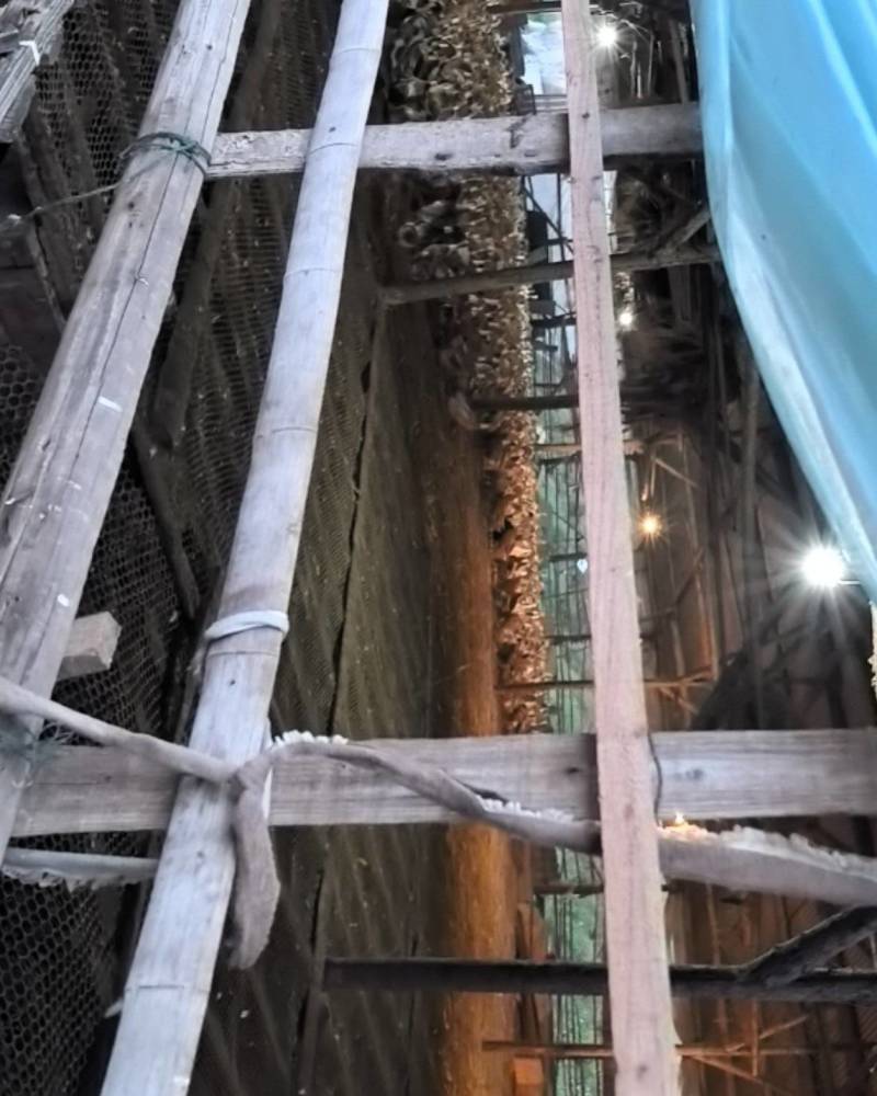 卖老鸭