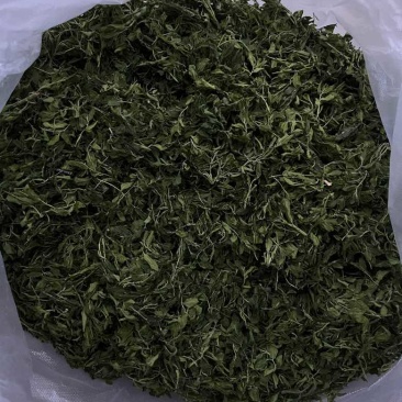 新采酸枣芽烤干，有想要给我DH