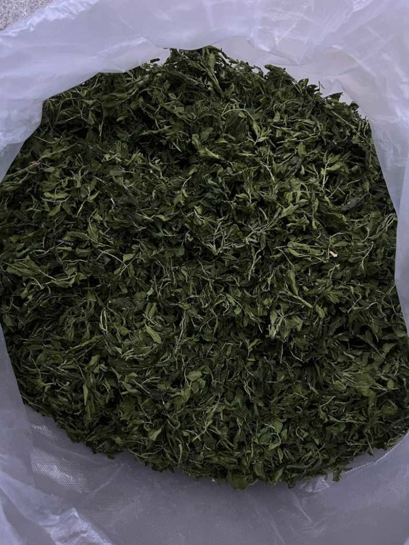 新采酸枣芽烤干，有想要给我DH