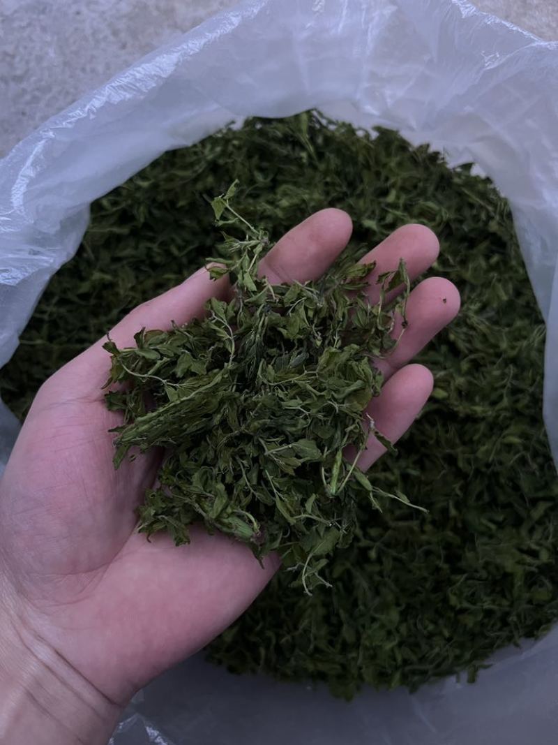 新采酸枣芽烤干，有想要给我DH