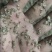 各种蟹，虾饲料