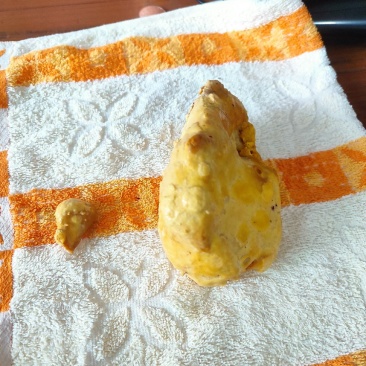 鸡宝