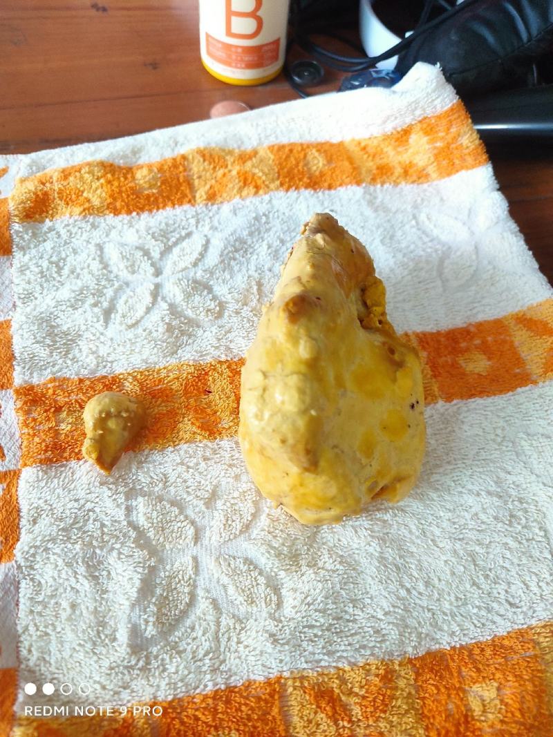 鸡宝