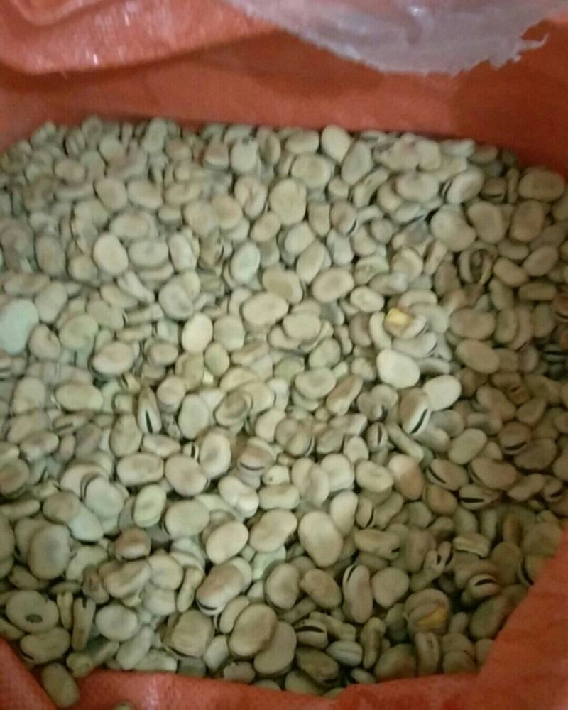 陆良干蚕豆