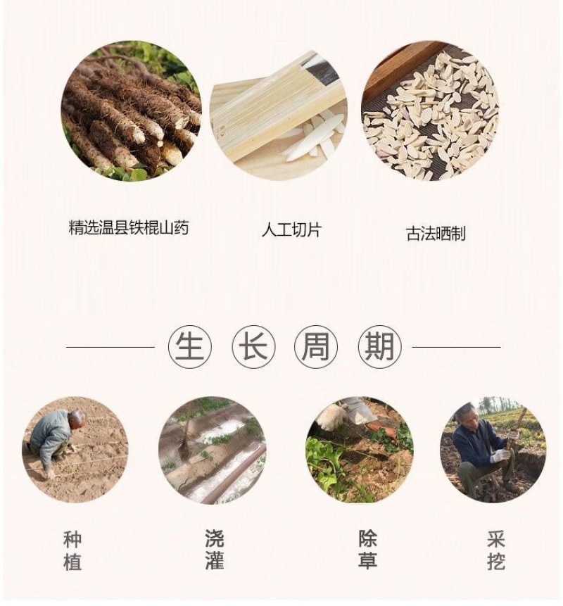 河南焦作温县无硫垆土铁棍山药大碎片，药食同源。