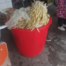 洪湖藕尖