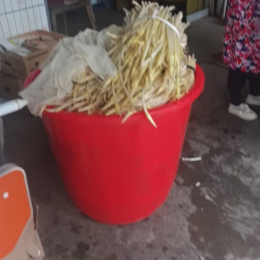 洪湖藕尖