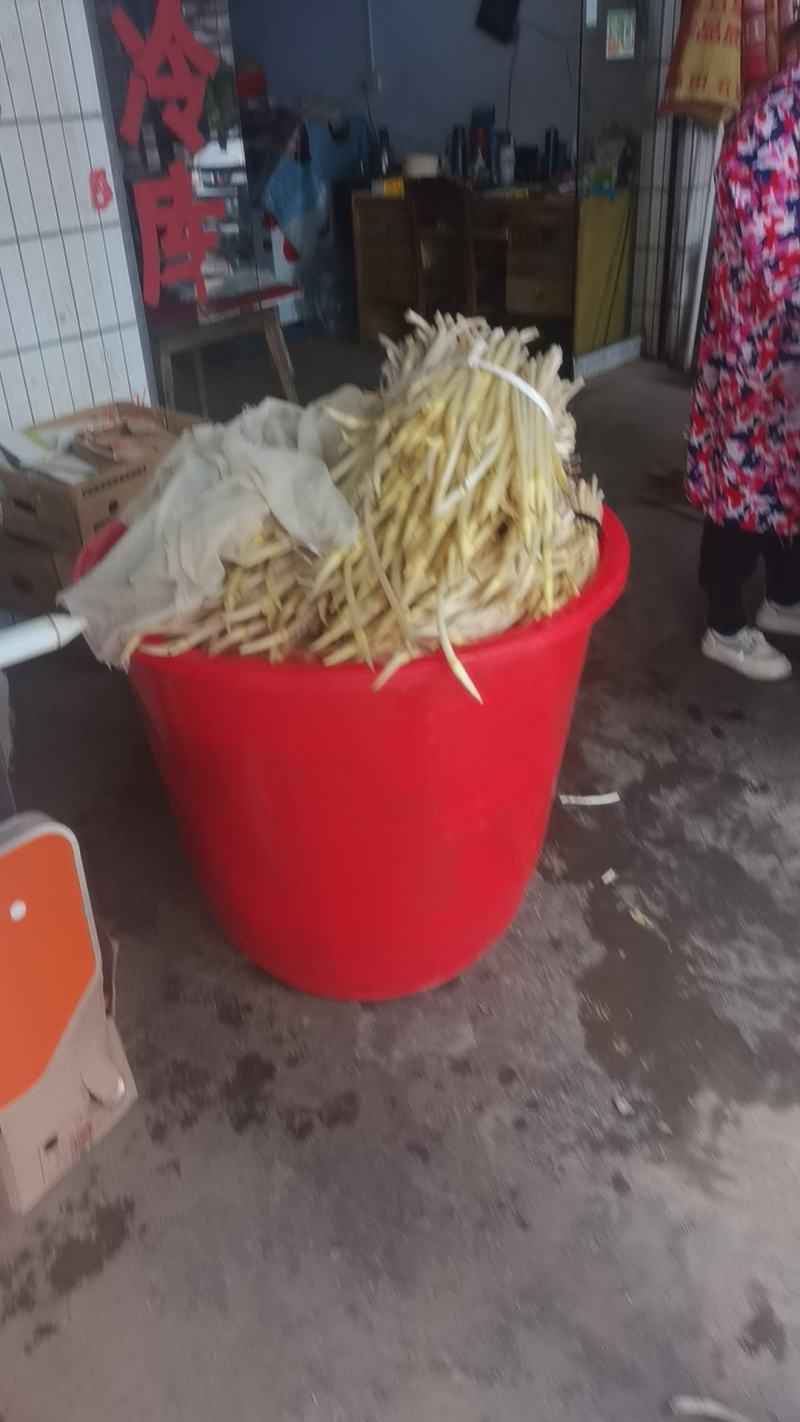 洪湖藕尖