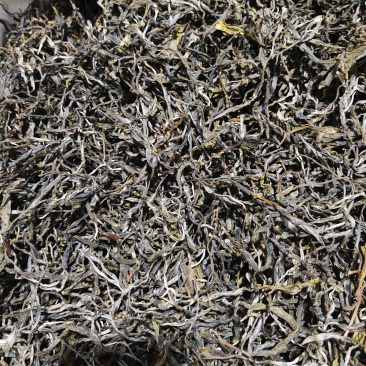 云南普洱茶