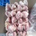 鸡胗大肉食鸡胗母鸡公鸡各种品种齐全质量产量稳定手续齐全国