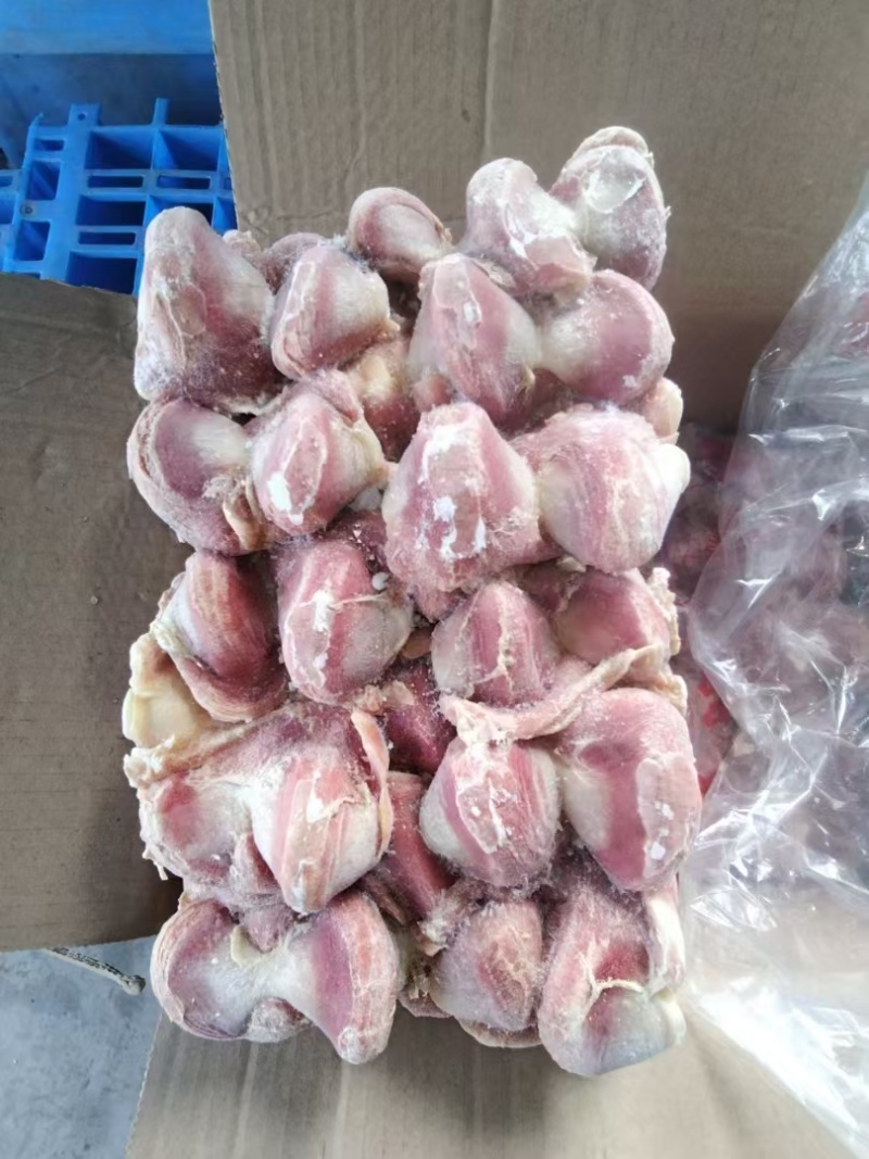 鸡胗大肉食鸡胗母鸡公鸡各种品种齐全质量产量稳定手续齐全国