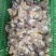 鸡胗大肉食鸡胗母鸡公鸡各种品种齐全质量产量稳定手续齐全国