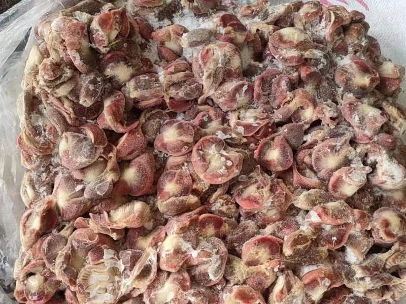 鸡胗大肉食鸡胗母鸡公鸡各种品种齐全质量产量稳定手续齐全国