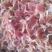 鸡胗大肉食鸡胗母鸡公鸡各种品种齐全质量产量稳定手续齐全国
