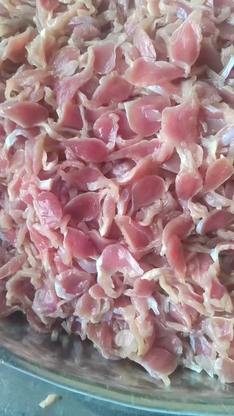 鸡胗大肉食鸡胗母鸡公鸡各种品种齐全质量产量稳定手续齐全国