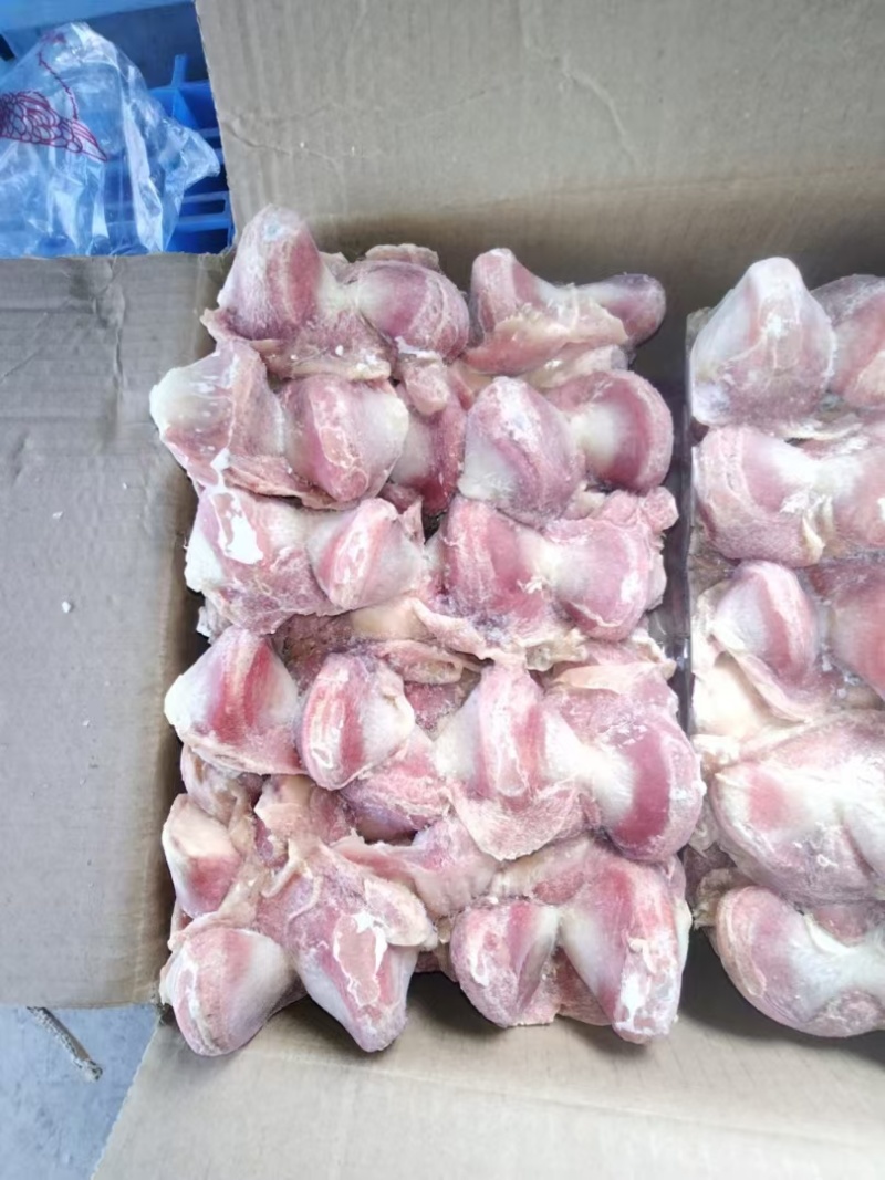 鸡胗大肉食鸡胗母鸡公鸡各种品种齐全质量产量稳定手续齐全国