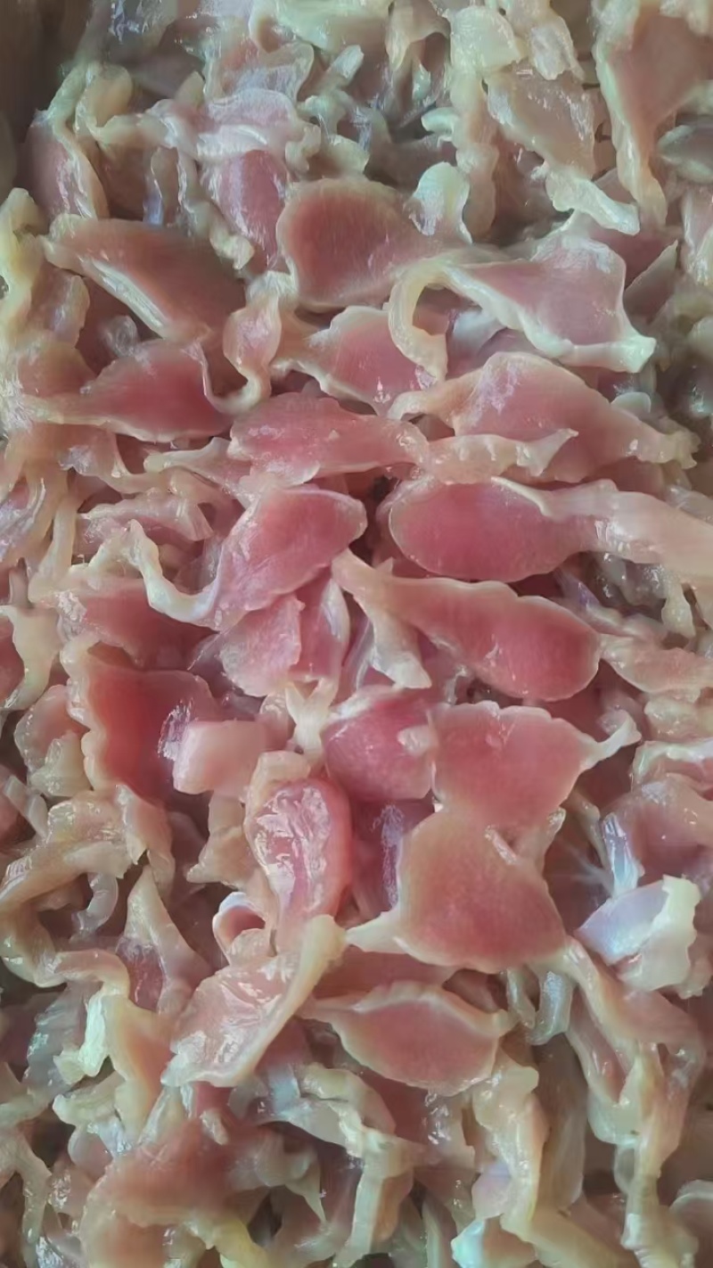 鸡胗大肉食鸡胗母鸡公鸡各种品种齐全质量产量稳定手续齐全国