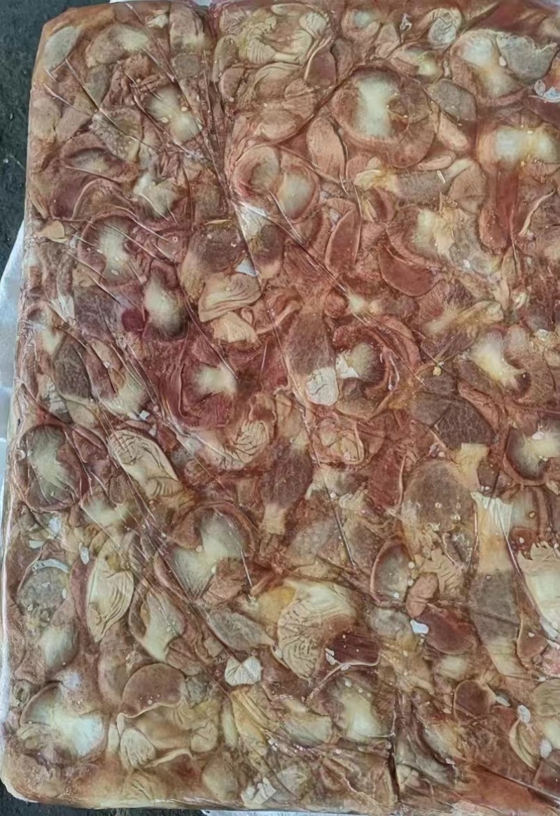 鸡胗大肉食鸡胗母鸡公鸡各种品种齐全质量产量稳定手续齐全国