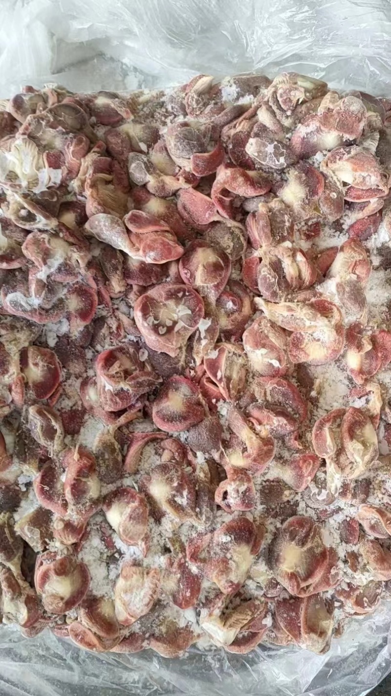 鸡胗大肉食鸡胗母鸡公鸡各种品种齐全质量产量稳定手续齐全国