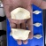 速冻水饺工厂直销80一箱20斤4包
