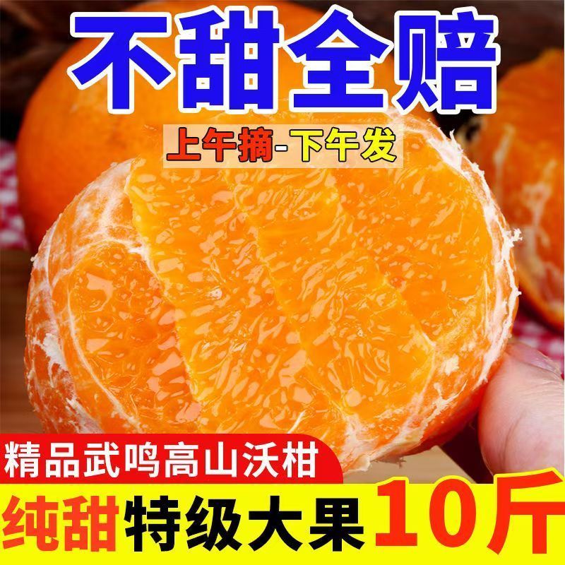 正宗高原沃柑爆甜桔子沃柑当季水果皮薄多汁整箱各大电商一件代发