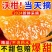 正宗高原沃柑爆甜桔子沃柑当季水果皮薄多汁整箱各大电商一件代发