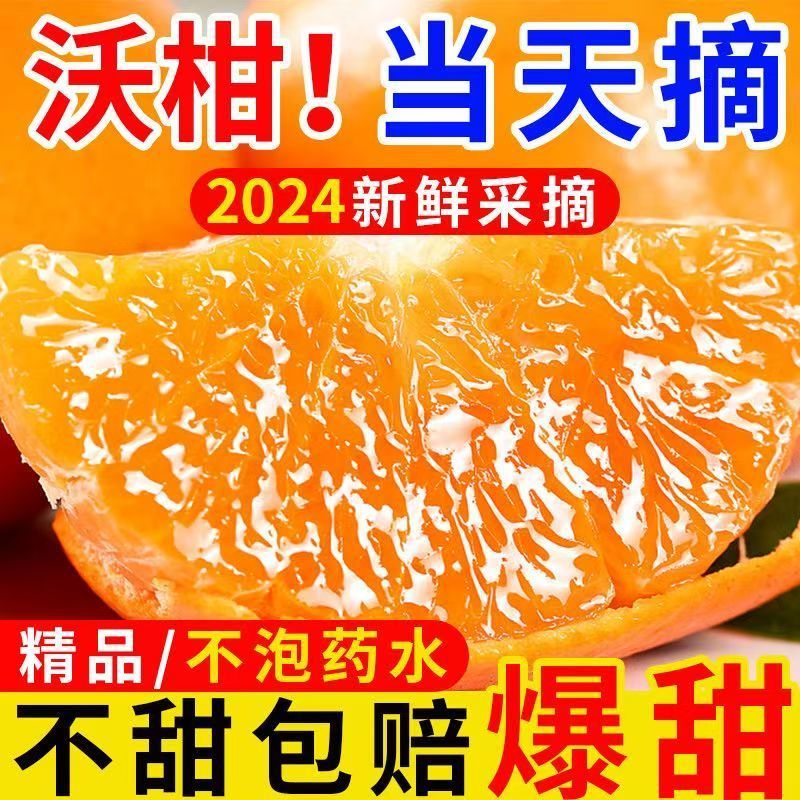 正宗高原沃柑爆甜桔子沃柑当季水果皮薄多汁整箱各大电商一件代发