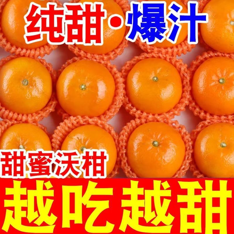 正宗高原沃柑爆甜桔子沃柑当季水果皮薄多汁整箱各大电商一件代发