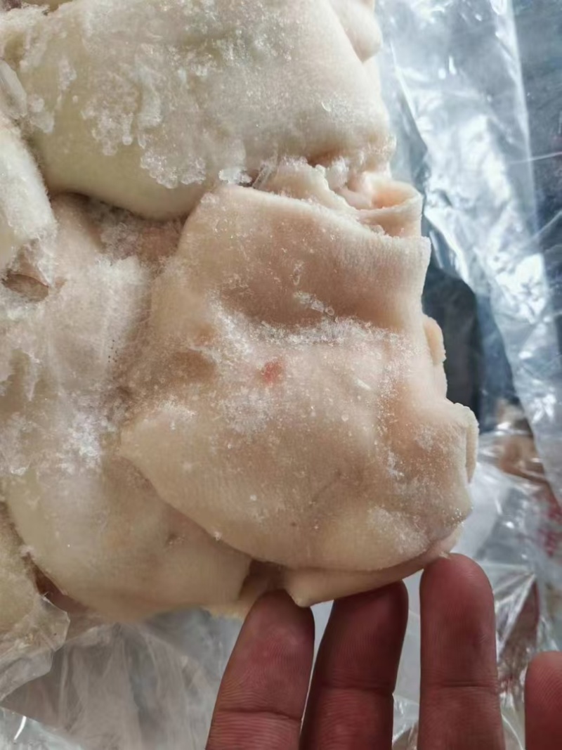 猪蹄皮