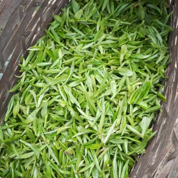 祁门红茶黄山毛峰