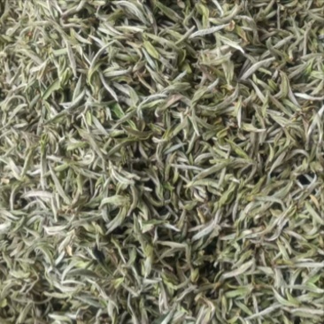 福鼎白茶荒野银针。