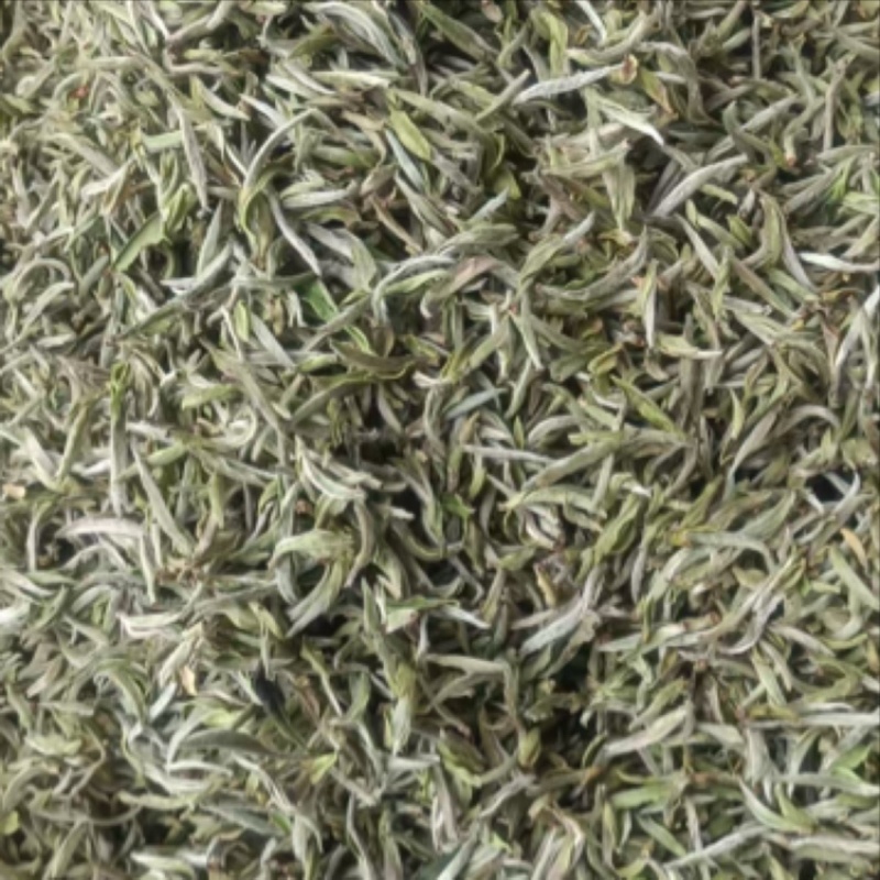 福鼎白茶荒野银针。
