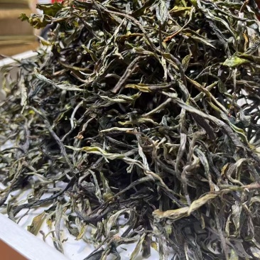 临沧普洱茶