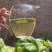 临沧普洱茶