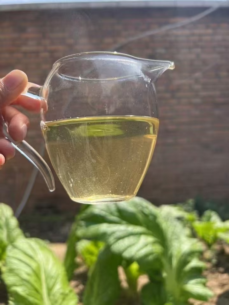 临沧普洱茶