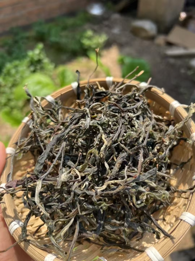 临沧普洱茶