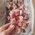 多肉羊棒骨，新鲜
