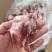 多肉羊棒骨，新鲜
