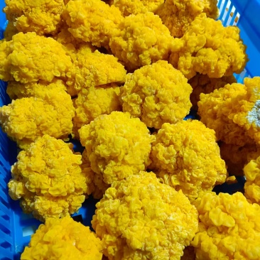 金耳菌鲜品，货源充足，有需要的欢迎联系。包邮