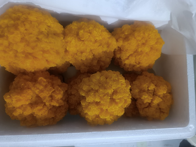 金耳菌鲜品，货源充足，有需要的欢迎联系。包邮