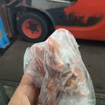 鸽子两万只
